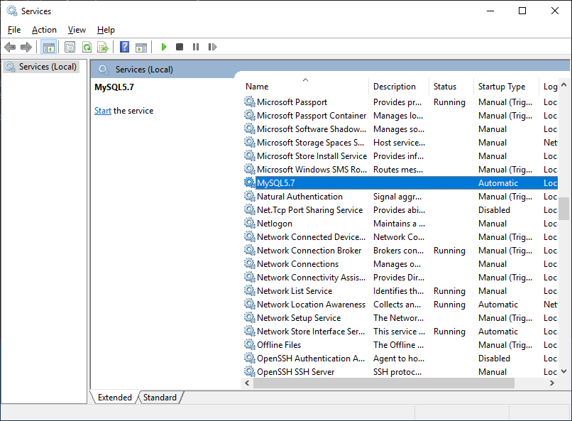 Installing MySQL Database on Windows